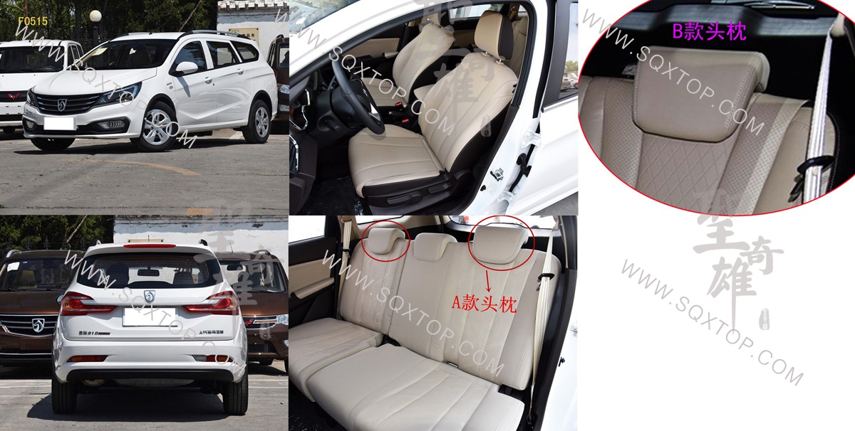F0515上汽通用五菱寶駿310W.jpg