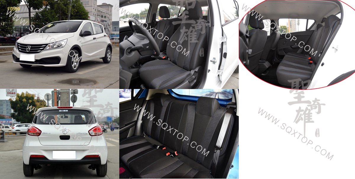 F0509上汽通用五菱寶駿310.jpg