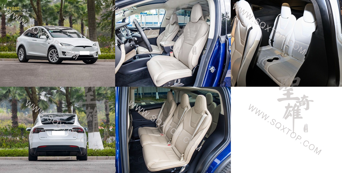 F1880特斯拉Model X.jpg