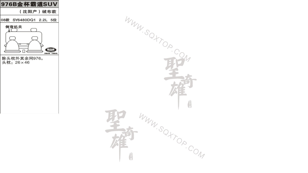 金杯霸道SUV 08年款2.2L  5座 公司內(nèi)部下單編號976B.jpeg
