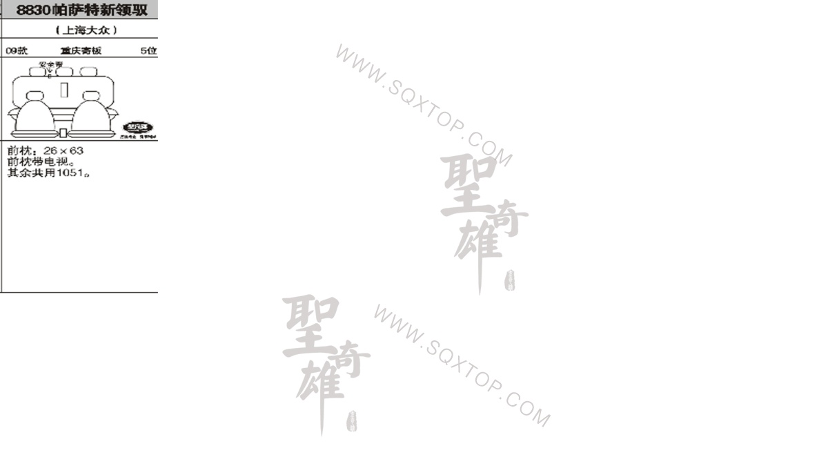 大眾帕薩特新領馭09年款5座 公司內部下單編號8830.jpeg