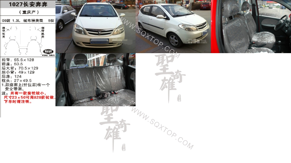 長(zhǎng)安奔奔 09年款1.3L 5座 公司內(nèi)部下單編號(hào)1027.jpeg